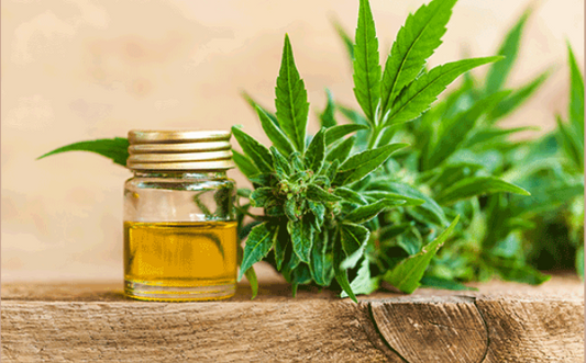 What is CBD and how can it help me ?