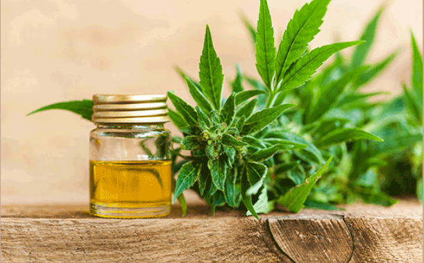 How long does CBD Last and Remain in your System ?